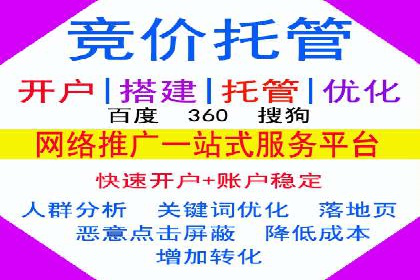 某品牌通过SEM优化实现品牌增长的故事